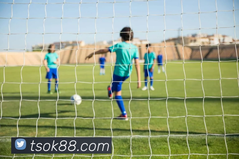 天顺娱乐官网平台生态图