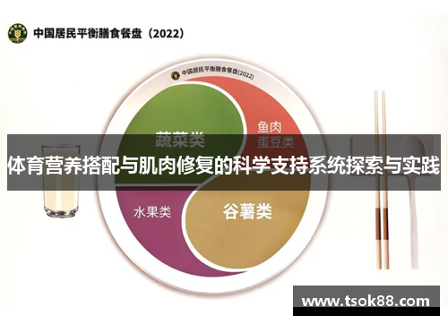 体育营养搭配与肌肉修复的科学支持系统探索与实践